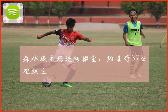 森林狼主场逆转掘金，约基奇37分难救主