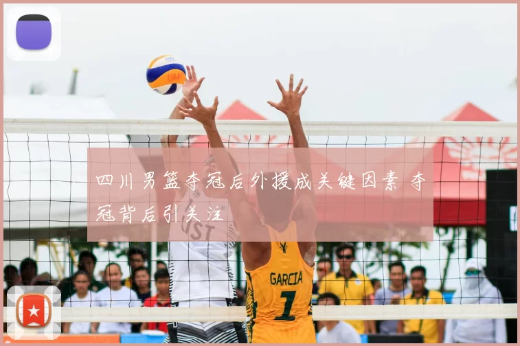 四川男篮夺冠后外援成关键因素 夺冠背后引关注